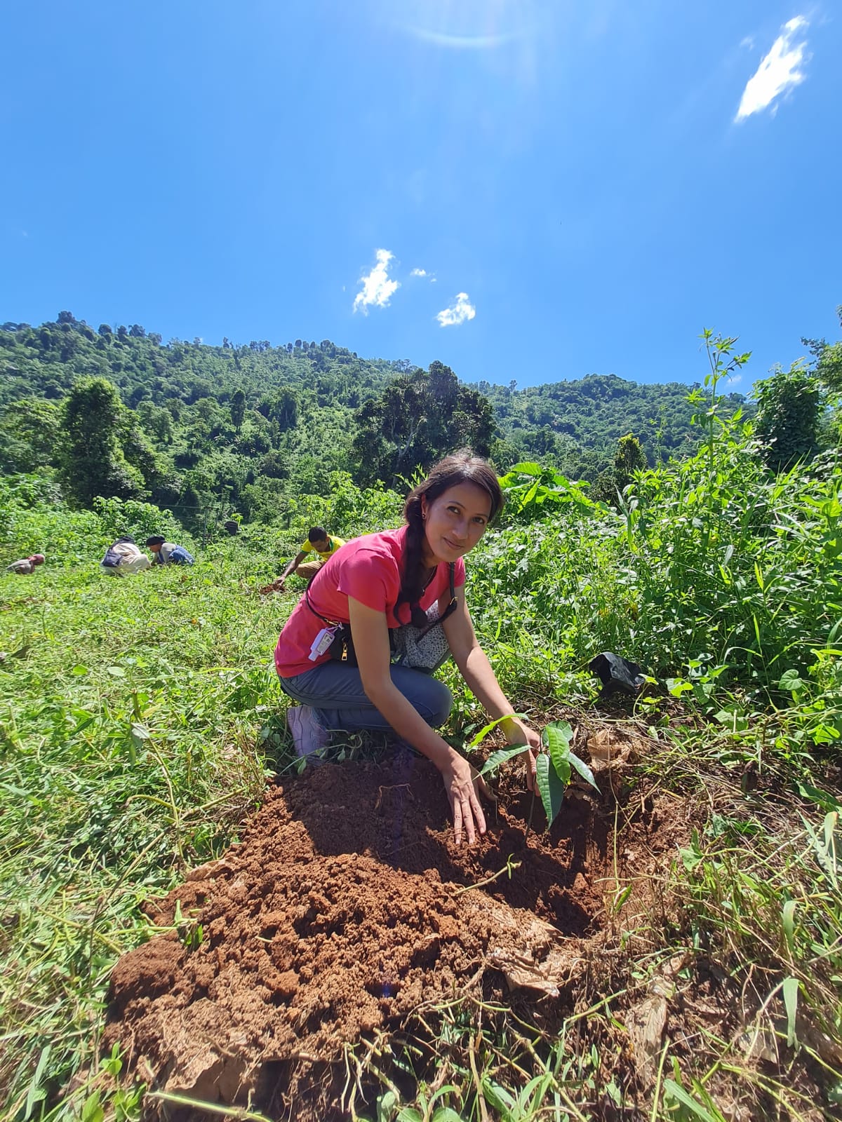 MUDA plantation drive